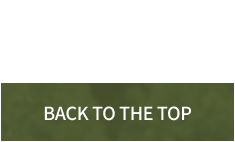 back to the top